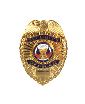 Badges (Metal)